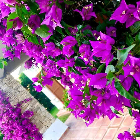 Breathtaking Sea View With A Peaceful Garden Apartment Bodrum